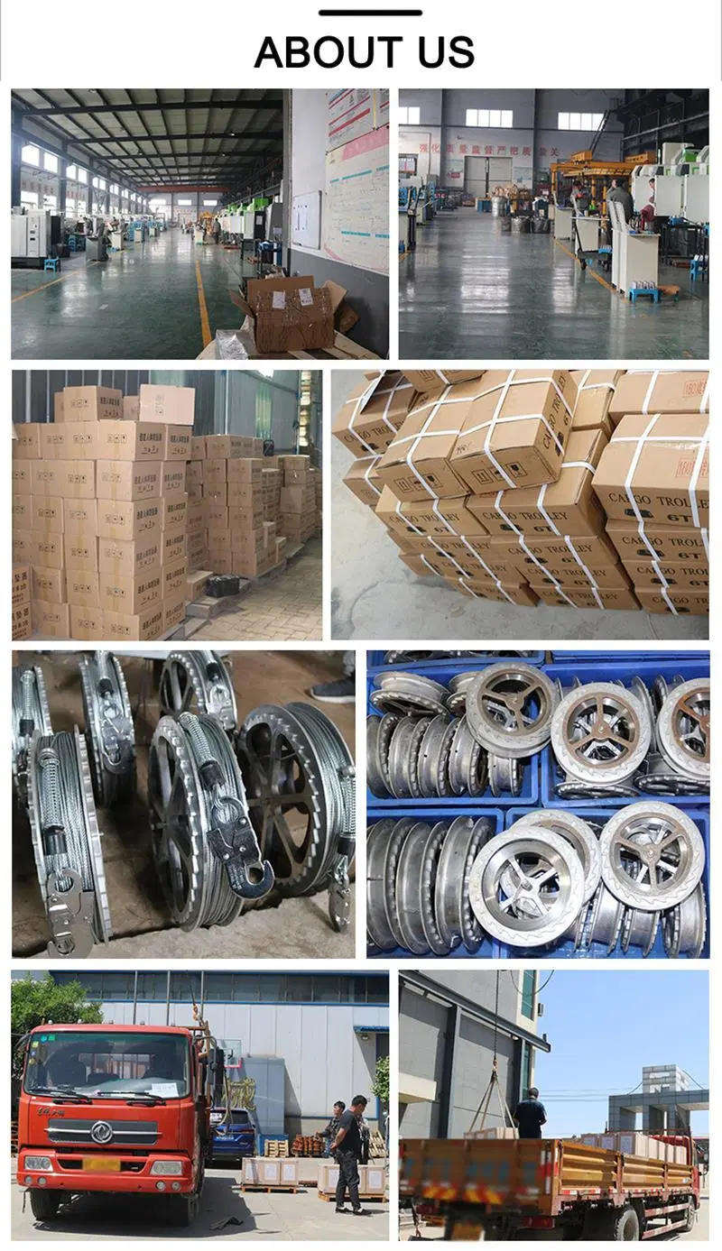 China Factory Selling High Quality Fall Arrester for Body Protection Capacity and Wire Rope Length Customized