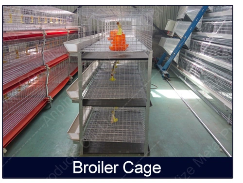 Layer Chicken Cage H Type Tier Galvanized Steel Mesh Wire Door Feeder