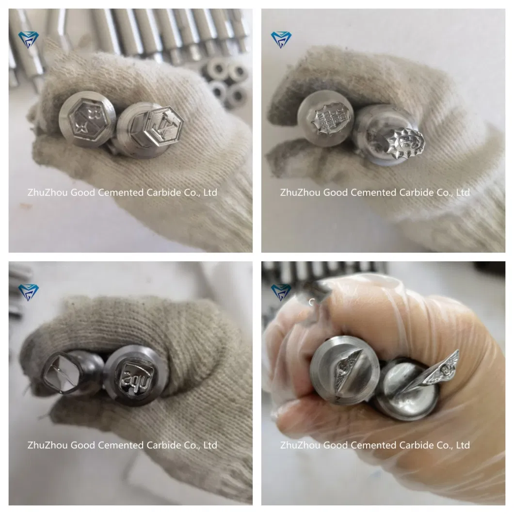High Quality Round 3D Drawing Dies Tablet Press Machine Pill Press Mold for Tdp Presses