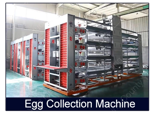 Turkey Poultry Farm Layer Cage a-Type Frame Galvanized Steel Door Layer Chicken