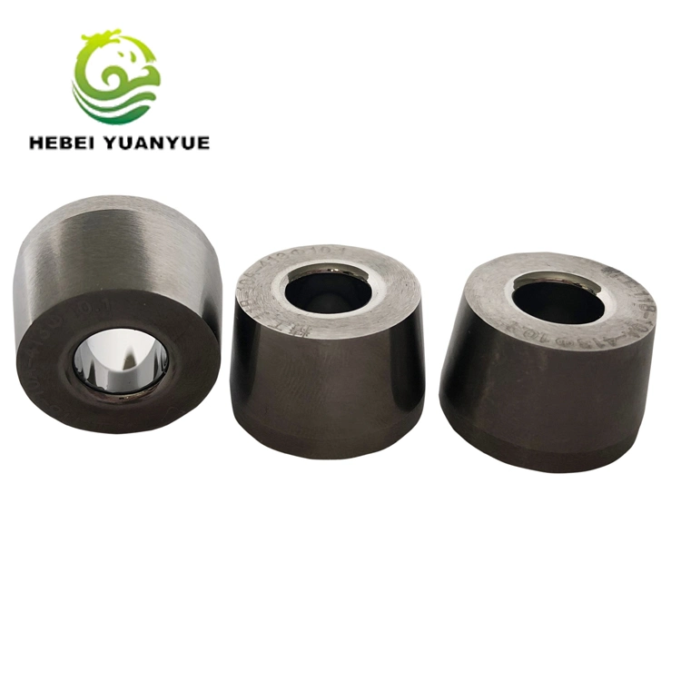 Tungsten Carbide Moulds for Roller Chain Mirror Polishing Drawing Die