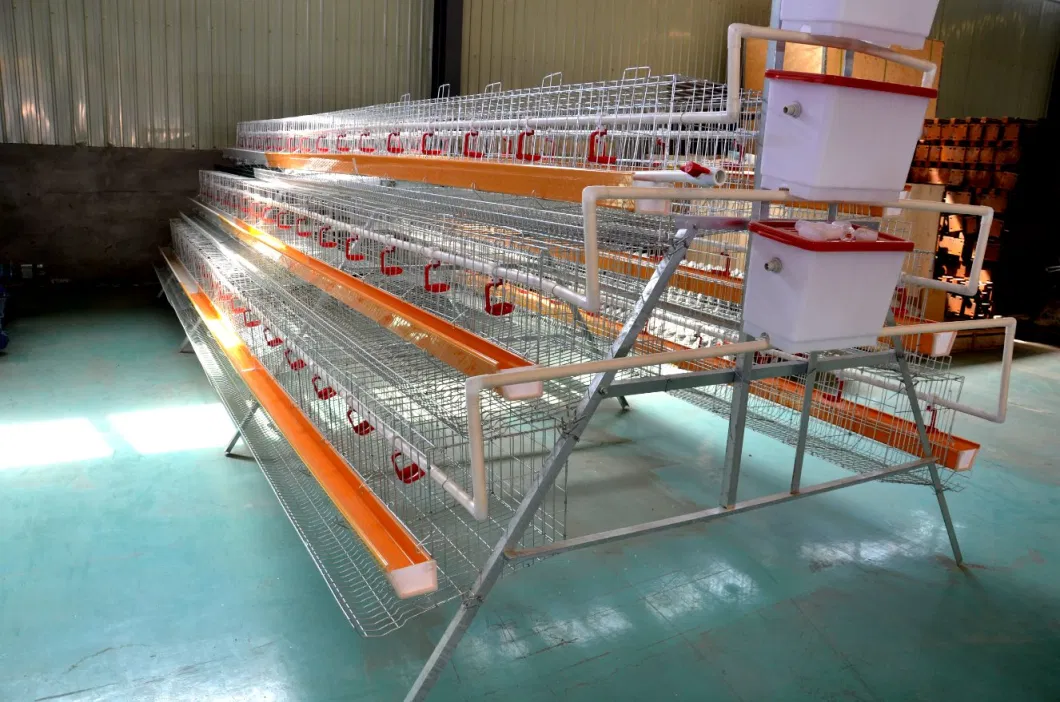 Turkey Poultry Farm Layer Cage a-Type Frame Galvanized Steel Door Layer Chicken