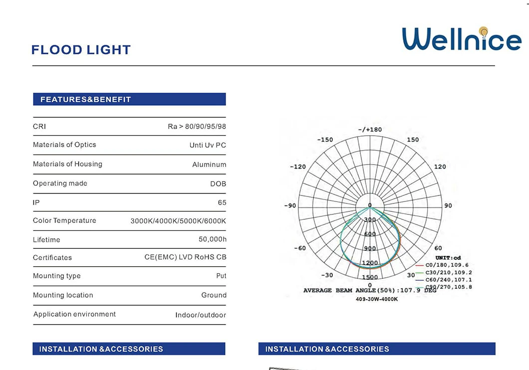 Wellnice High Mast Stadium Sports Field Adjustable Outdoor IP65 Waterproof 100W LED Lamp Garden Light Flood Lighting