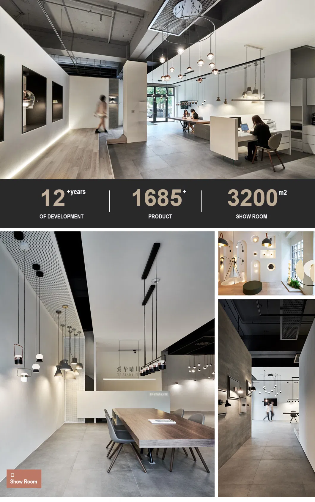 Tpstarlite 2023 Top Sales Custom Metal Indoor Decorative E27 Restaurant Bar Ceiling Hanging Pendant Light