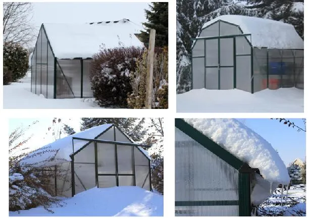Agriculture/Commerical Multi Span Polycarbonate Sheet/PC Sheet Greenhouse Aluminium Frame for Vegetables/Garden/Tomato (RDGS0810-6mm)