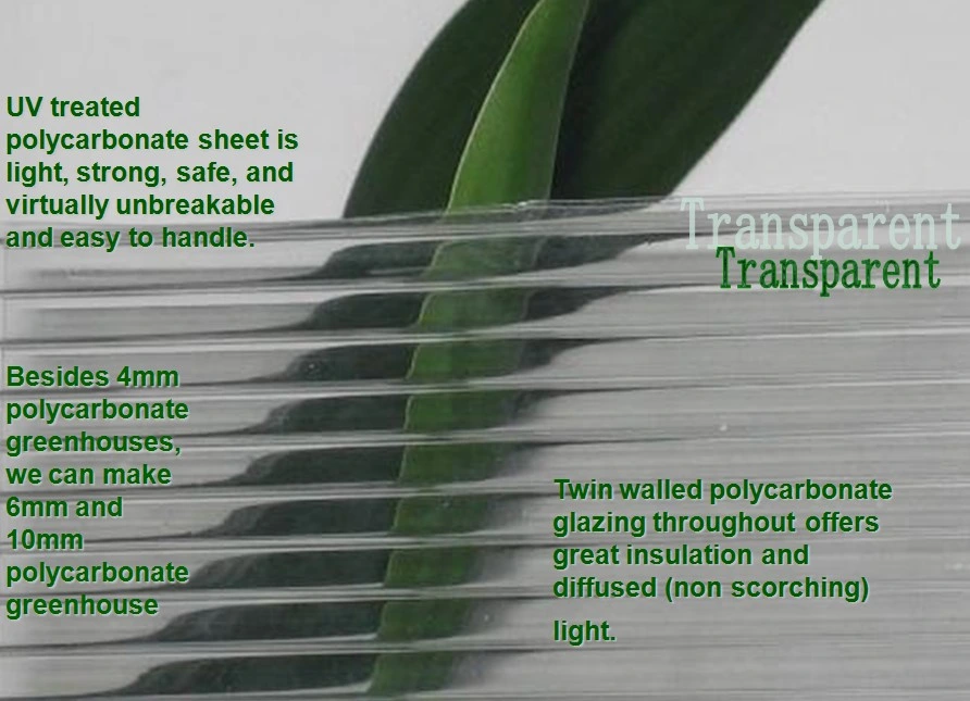 Agriculture/Commerical Multi Span Polycarbonate Sheet/PC Sheet Greenhouse Aluminium Frame for Vegetables/Garden/Tomato (RDGS0810-6mm)