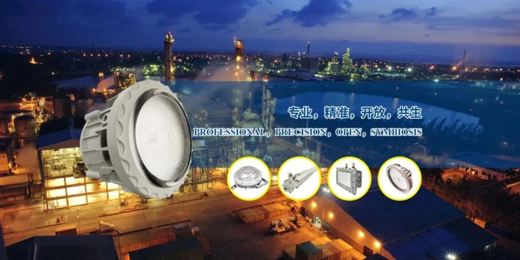 Explosion Proof Flood Lights 120W LED Light Fittings Input Voltage 100~270 VAC - Zone 1 Zone 21