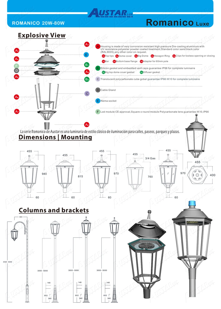 Hexagon Lamp Luminarias Clasicas Saint Jean Roadway Luminaire City Park Lighting Area