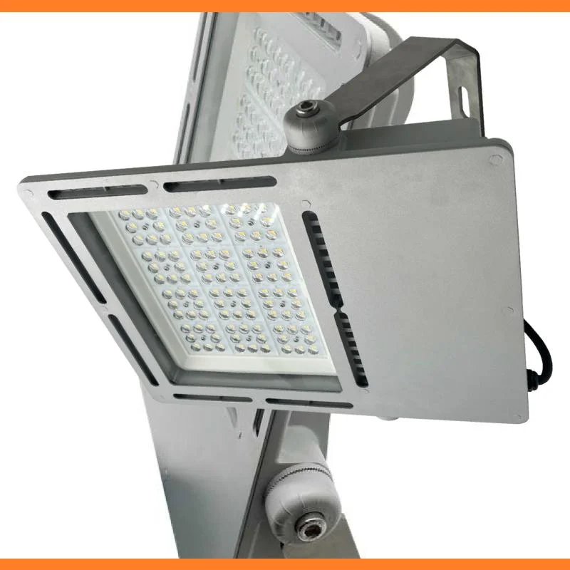 100W LED Flood Lights Marine Lighting 220V Outdoor Security Lamp