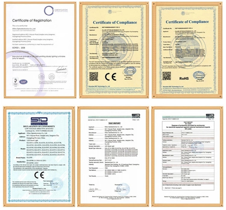 170lm/W Programmable Dimmable LED Street Luminaries