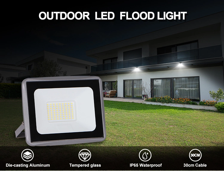 Outdoor Halogen Weather Proof Stadium High Mast COB 100W Sports Field Spot LED Flood Light