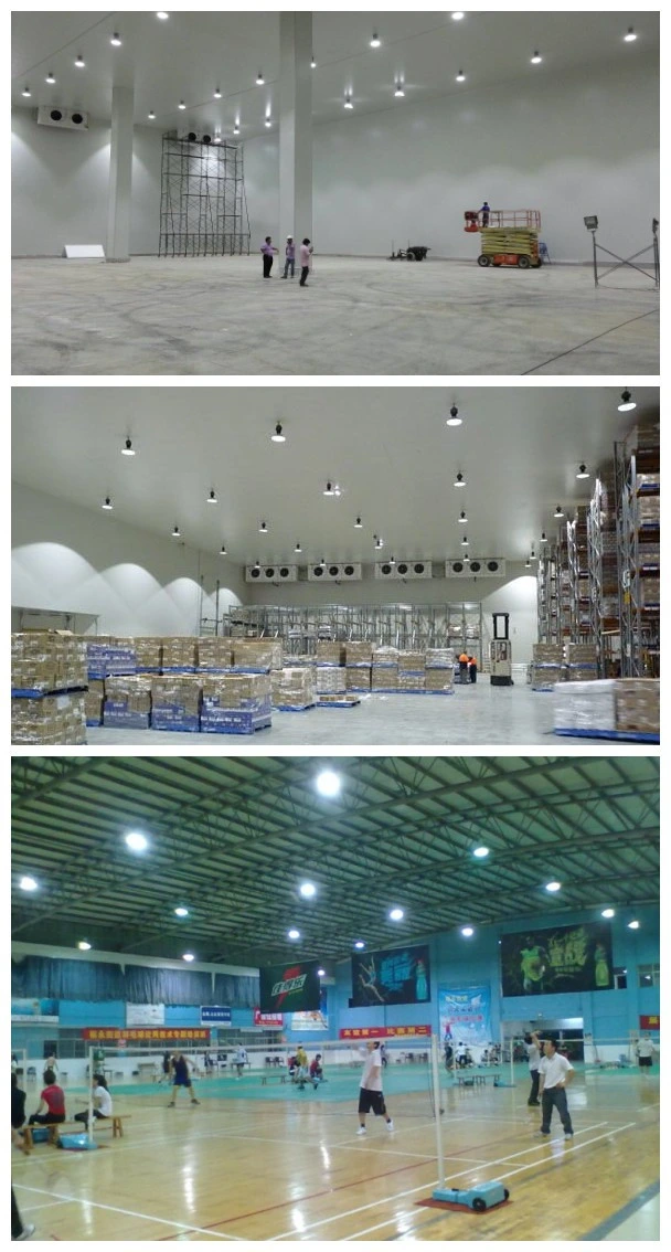 250W Industrial Lighting High Quality Mean Well Driver LED High Bay Light for Workshop Lighting