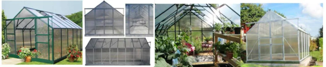 Agriculture/Commerical Multi Span Polycarbonate Sheet/PC Sheet Greenhouse Aluminium Frame for Vegetables/Garden/Tomato (RDGS0810-6mm)