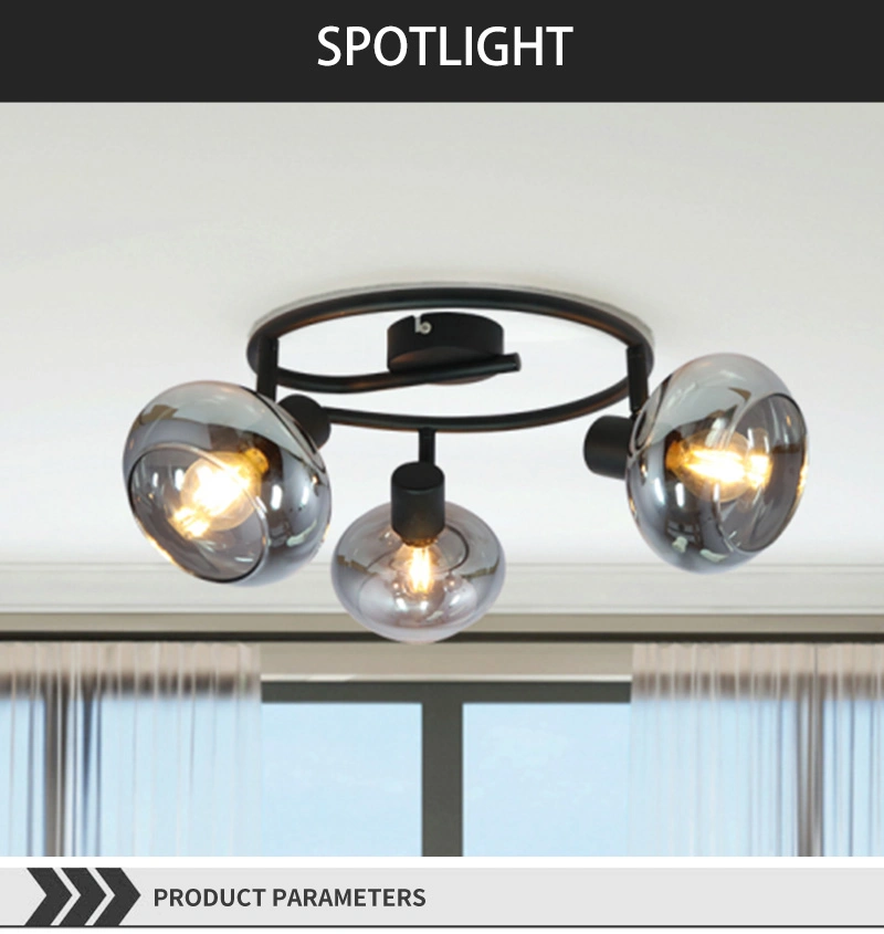 E14 Bulb Series Spot Light for Home Decorative Spot Light Track Lighting
