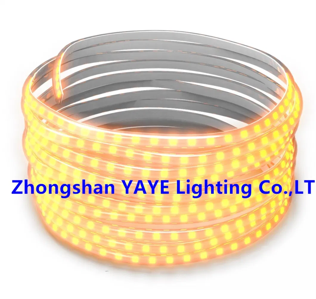 Yaye Solar Factory Supplier 50W 5m High Quality Outdoor Waterproof IP65 Single Color LED Strip Garden Christmas Holiday Landscape Decorative Light Manufacturer