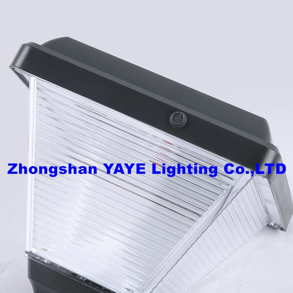 Yaye Solar Manufacturer CE 20W LED Pathway Landscape Lawn Waterproof IP65 Outdoor Spike Solar LED Garden Light with 1000PCS Stock /2 Years Warranty