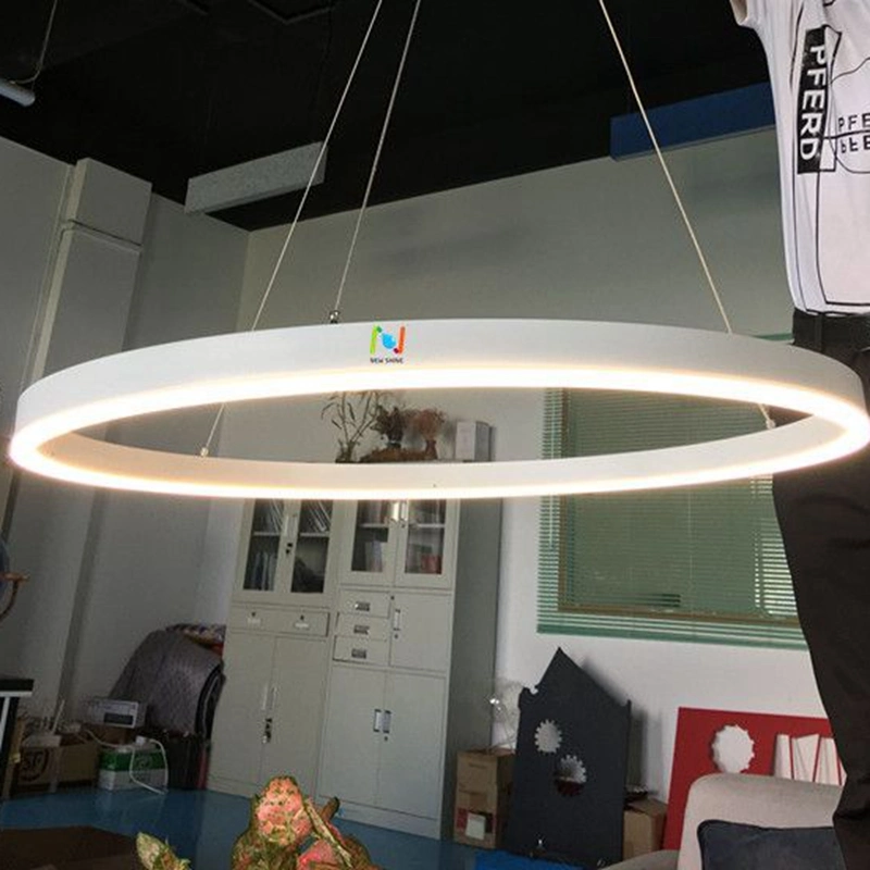 Ring Hanging Chandelier Decorative Lamp Circle LED Pendant Light