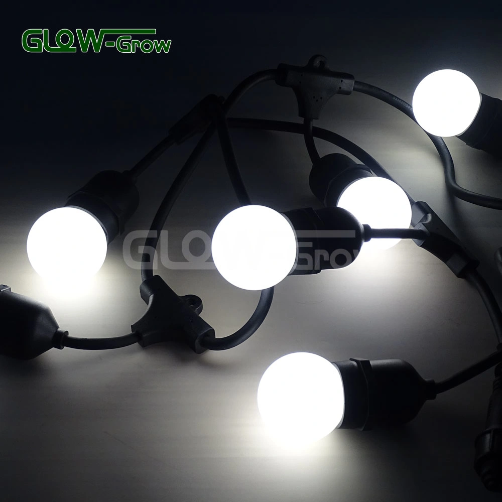 G45 230V Belt Light Cool White Chain Festoon Light LED Globe String Light for Holiday Event Home Garden Street Decoration