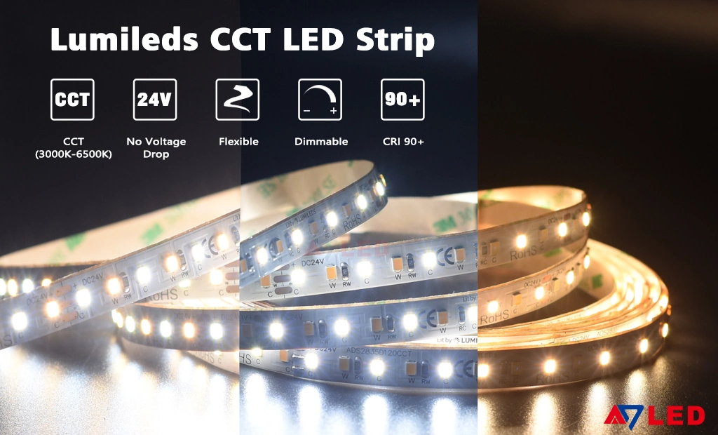 Supplier Brightest Commercial Decorative Installation Low Voltage Cuttable Weatherproof Waterproof Tunable White Dual Color Adjustable CCT LED Strip Light