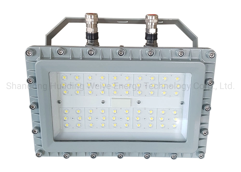 LED Explosion Proof High Bay Lights Industrial Luminaires for Pulp and Paper Chemical Industry Atex Zone 1