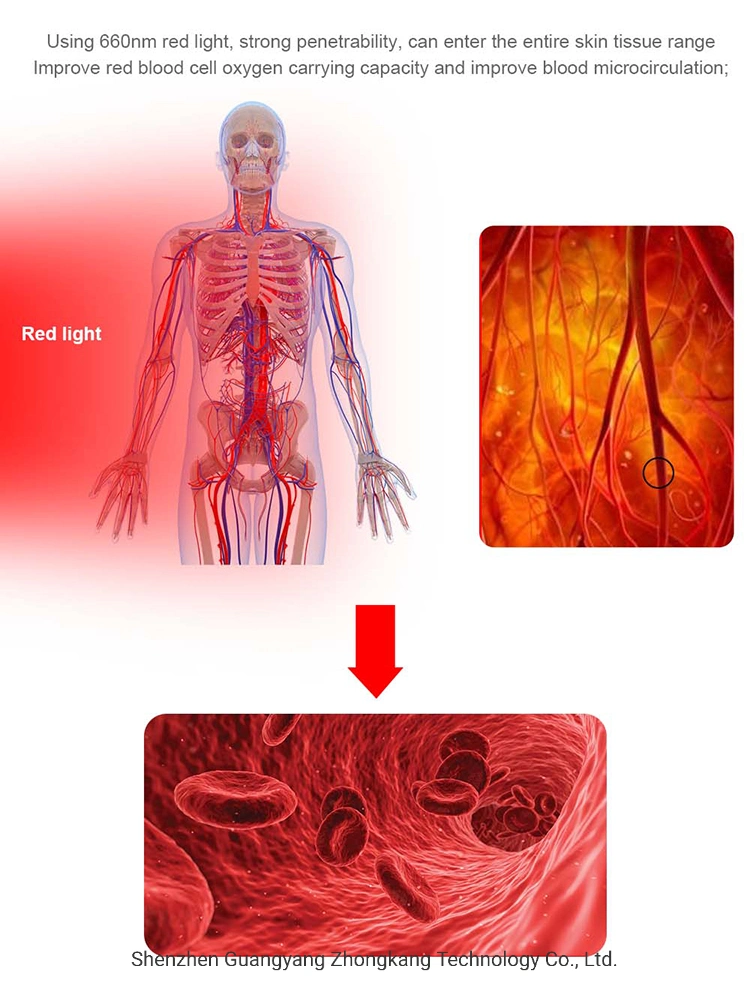 Suyzeko LED Photon Pulse Red Light Therapy Bed for Sports Recovery