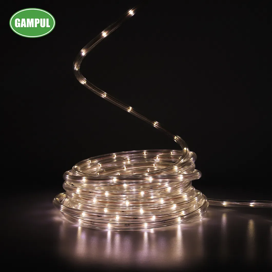 Hot Sale 220-240V/50Hz White Color China Smart Outdoor/Indoor LED Party Rope Lighting for Building Decorations