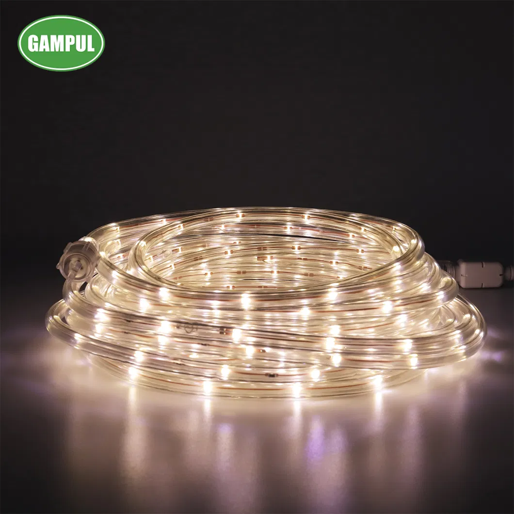 Hot Sale 220-240V/50Hz White Color China Smart Outdoor/Indoor LED Party Rope Lighting for Building Decorations