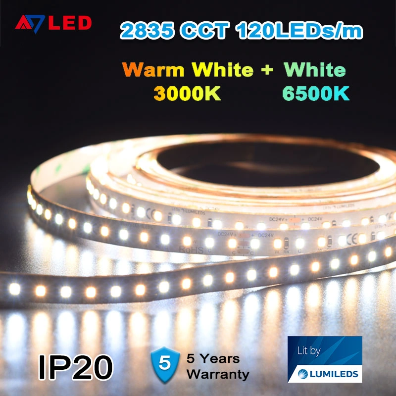 Supplier Brightest Commercial Decorative Installation Low Voltage Cuttable Weatherproof Waterproof Tunable White Dual Color Adjustable CCT LED Strip Light