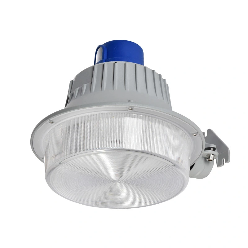 High Brightness 50W LED Outdoor Barn Light Dusk to Dawn Motion Sensor Barn Lighting for Garen Park Use LED Wall Lamps