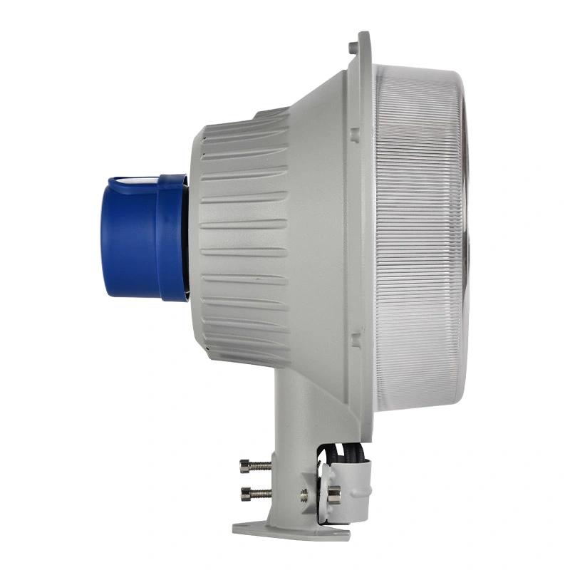 High Brightness 50W LED Outdoor Barn Light Dusk to Dawn Motion Sensor Barn Lighting for Garen Park Use LED Wall Lamps