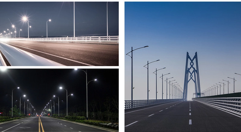 60W Durable Urban Amenity Luminaire IP66 Gereral Purpose Lighting with Smart Controller