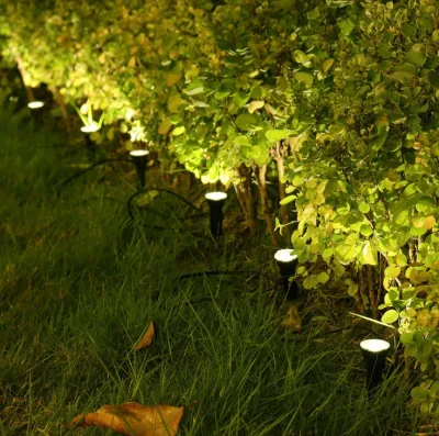 Lampada a corda decorativa per giardino impermeabile all&prime;aperto IP55 One for Ten Illuminazione 2835 LED SMD lampada da giardino lampada solare lampada da giardino Con sensore