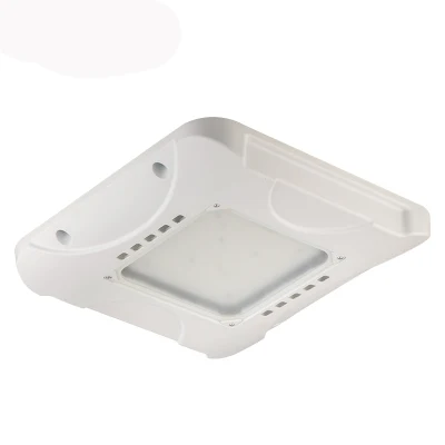 Tettoia a gas da giardino per esterni, 100 W, 150 W, 200 W, 300 W, funzionamento a batteria Luci per stazione di servizio