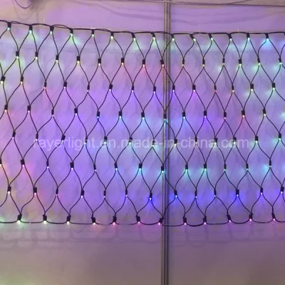 Luci di rete intelligenti LED RGB indirizzabili per Natale lampeggianti