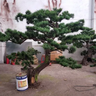 Rami di pino verde albero alto Grande pino artificiale esterno Alberi di pino per decorazione di Natale