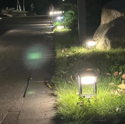 Luce solare da giardino a LED Factory Direct in alluminio per esterni