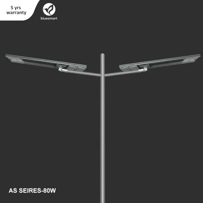 Prodotti solari per esterni integrati da 40 W, 60 W, 80 W, 100 W Una lampada LED Street Garden