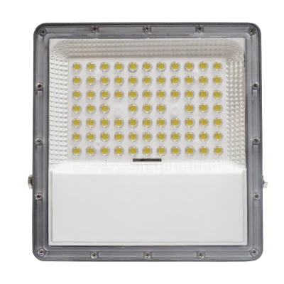 Faretti da giardino impermeabili con carica solare LED all&prime;ingrosso da 100 W.