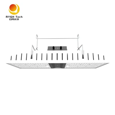 Rygh 50000h 800 W LED industriale crescere luce con un buon servizio Top-800wf