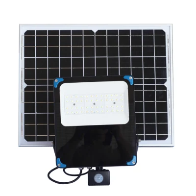 Produttore solare fabbrica CE sensore LED strada esterna COB prato Proiettore da giardino