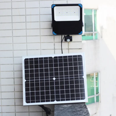 Produttore solare fabbrica CE sensore LED strada esterna COB prato Proiettore da giardino