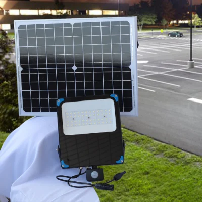 Produttore solare fabbrica CE sensore LED strada esterna COB prato Proiettore da giardino