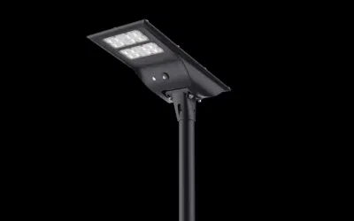 30 W/40 W/50 W/60 W/80 W/100 W120 W LED solare da giardino per esterni con integazione, tutto in un&prime;unica unità solare Leggero