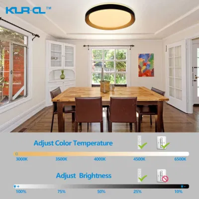 Lampade da soffitto decorative moderne con montaggio a filo LED nero e oro