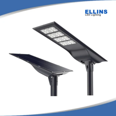 Illuminazione esterna energia solare Giardino lampada da prato MPPT solare integrato Luce stradale a LED alimentata