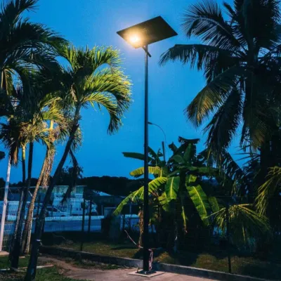 3m/4m/5m/6m/7m/8m/9m/10m/11m/12m singolo/doppio braccio conico/ottagonale solare/LED da giardino/lampada da strada/illuminazione/palo luminoso con prezzo di fabbrica