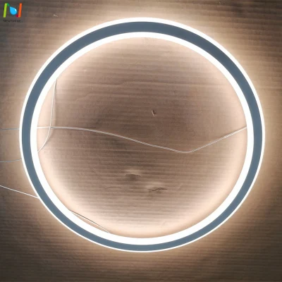 Lampada da soffitto rotonda con lampada a sospensione decorativa per interni
