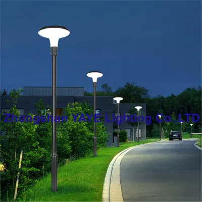 Yaye 2023 200 W impermeabile Garden Street Outdoor IP66 a basso consumo energetico Lampada decorativa ad alta potenza a basso prezzo con 3 anni di garanzia Miglior servizio di assistenza