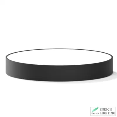 Lampada a sospensione LED rotonda da 100 lm/W senza sfarfallio, lampada da soffitto rotonda Di 65 mm di altezza