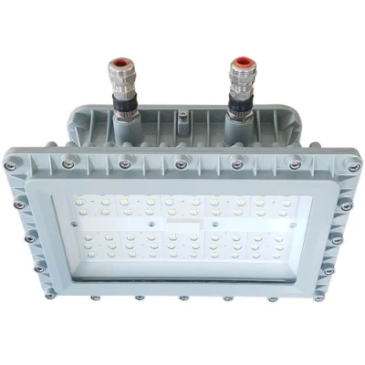 Luci a LED a prova di esplosione Highbay IP67 per gas pericolosi zona 1 Con proiettore ad alloggiamento alto certificato ATEX 80 W-200 W.